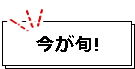 今が旬